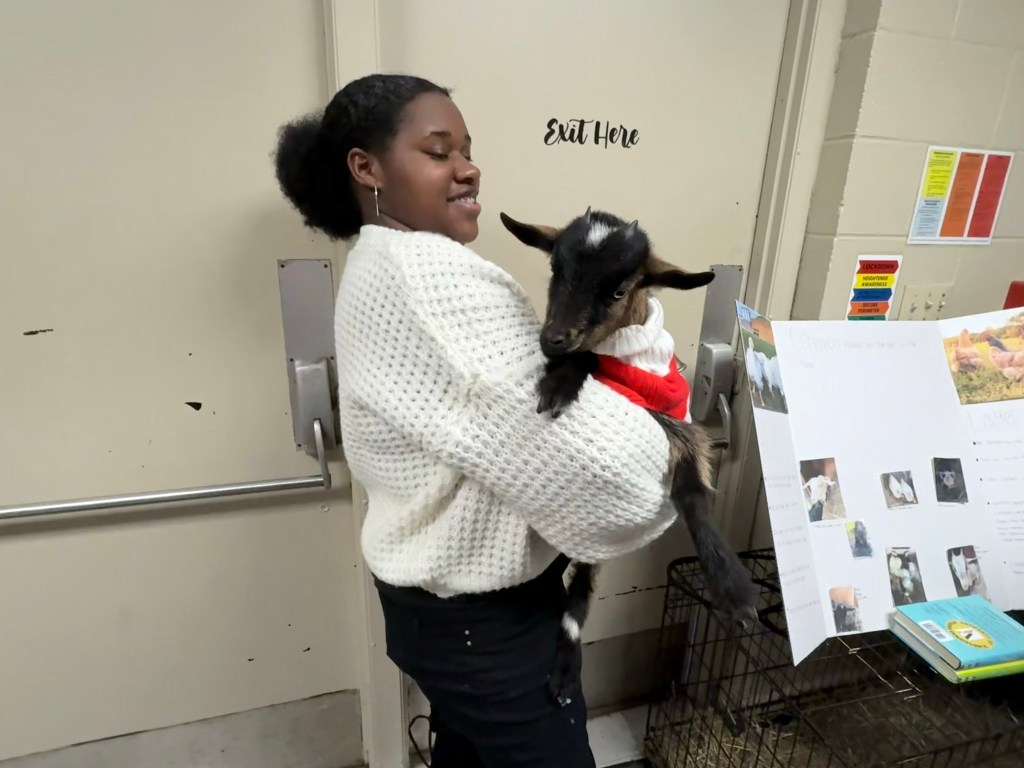 Athens Renaissance School Showcase